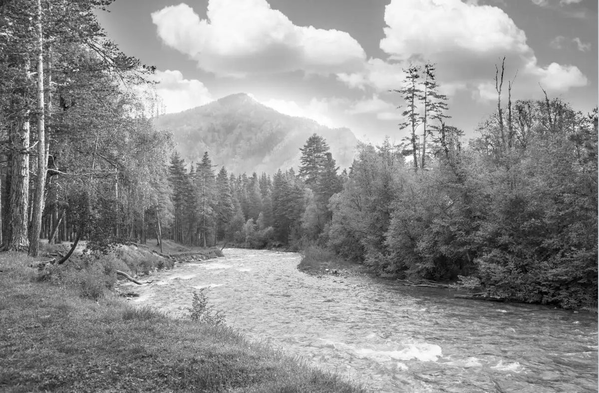 High-resolution design file showing detailed black and white mountain landscape pattern with winding river