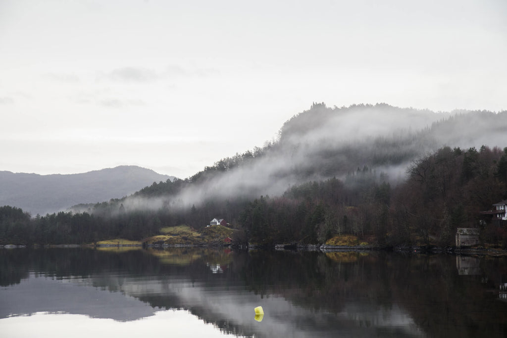 Mountain lake design file showing detailed misty forest and reflective water pattern