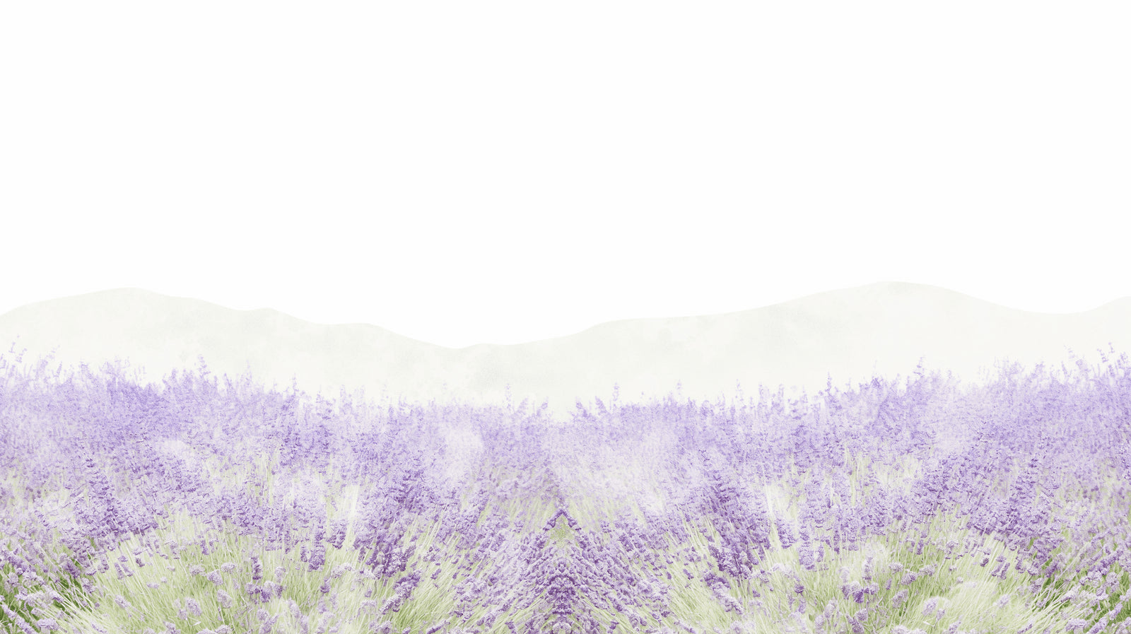 Lavender field wallpaper mural creating a peaceful atmosphere in a modern living room with natural light