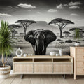 Black and white elephant safari wallpaper creating a dramatic statement wall in a modern living room with minimal furniture