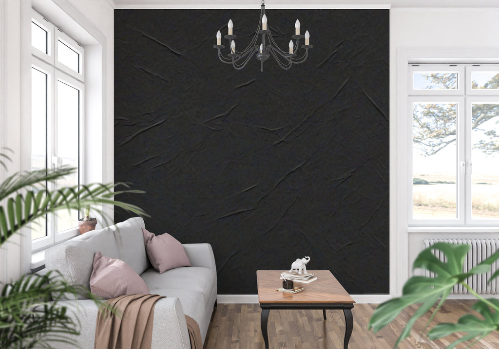 Textured black wall mural in contemporary hallway with modern art