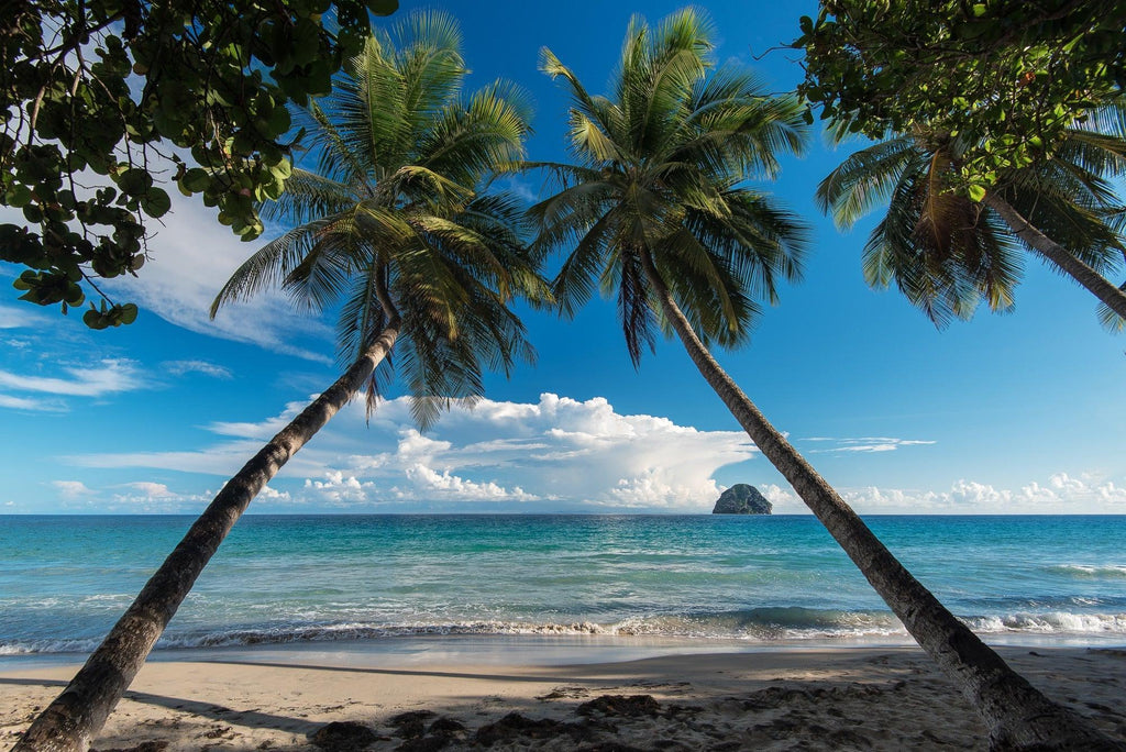 Tropical beach paradise design file showing detailed palm trees and turquoise ocean pattern