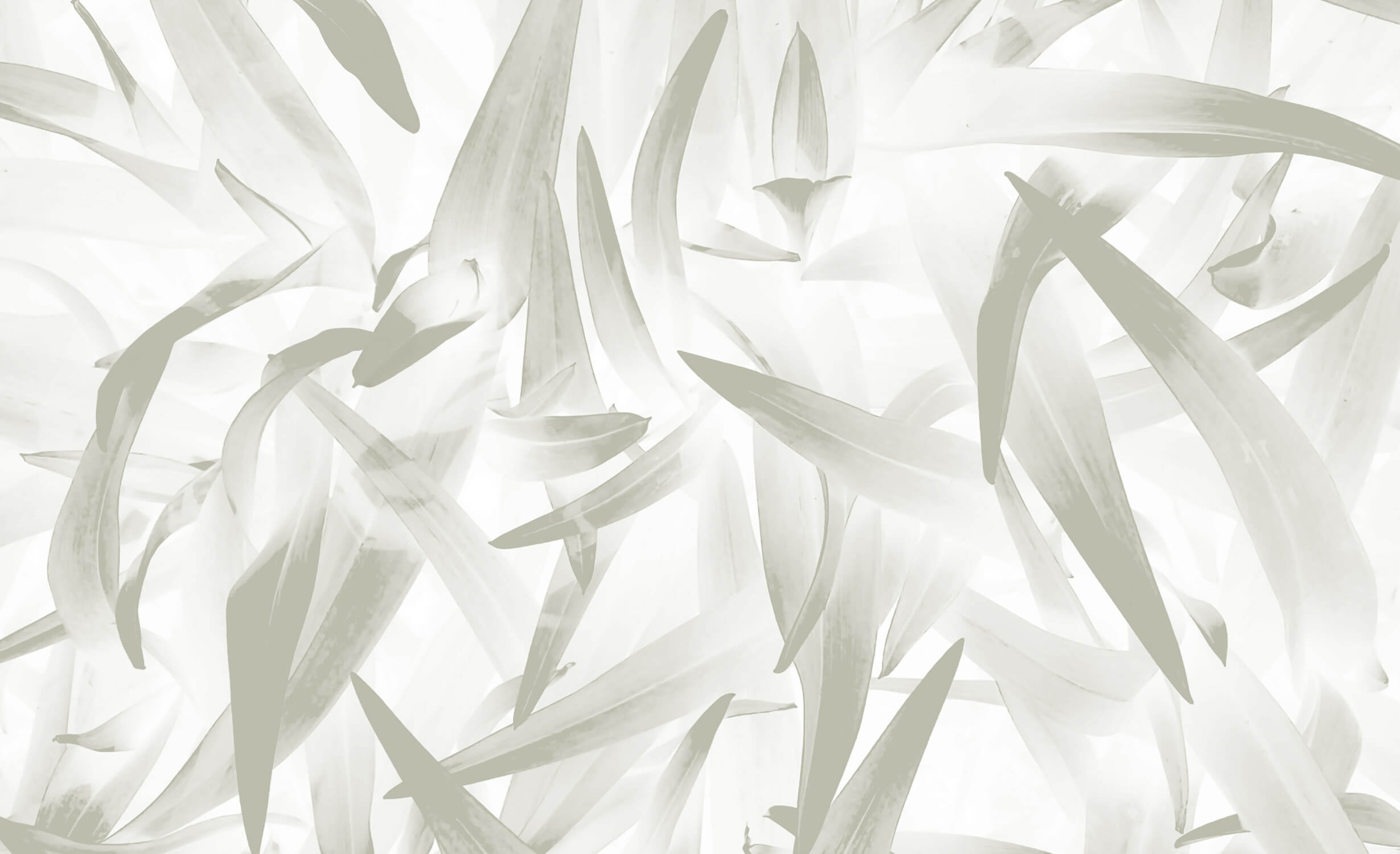 Design file of sage green palm leaf pattern showing intricate botanical details