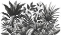Black and white tropical leaf wallpaper creating a stunning feature wall in a modern living room with minimalist furniture