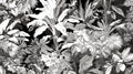 Black and white tropical botanical wallpaper creating drama in a modern living room with high ceilings and minimal furniture