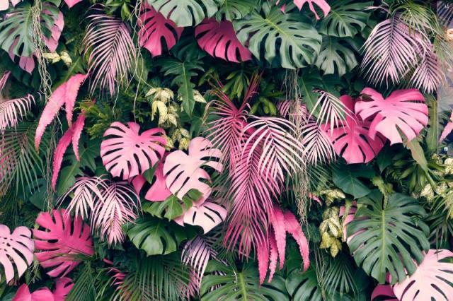 Tropical pink Monstera and palm leaves design file showing intricate leaf pattern and rich color details